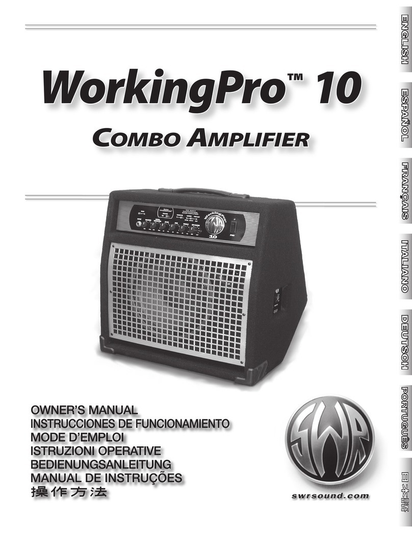SWRSound WorkingPro 10 owner's manual