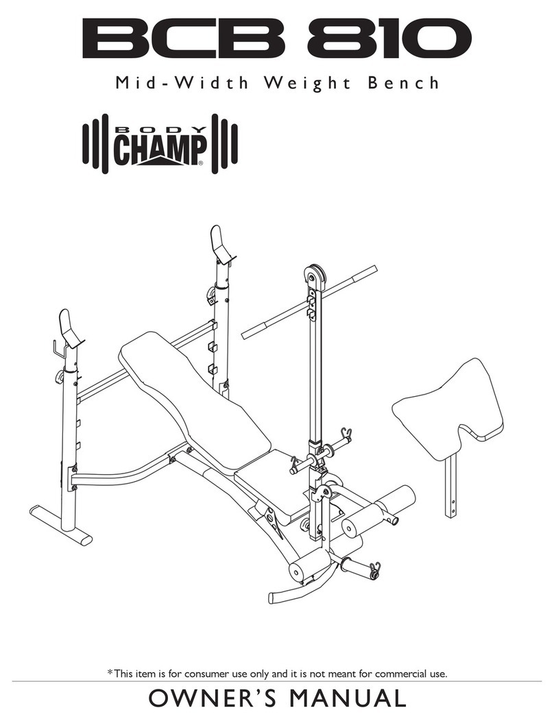 Body Champ BCB 810 owner's manual
