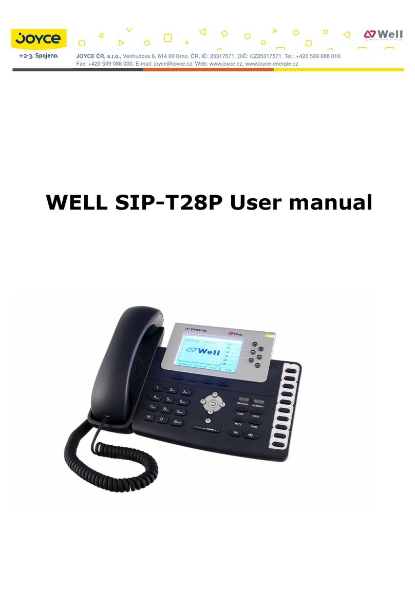 Well Well SIP-T28 User manual