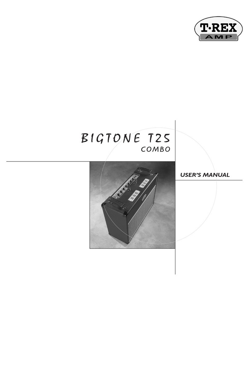 TREX BigTone T25 Combo user manual