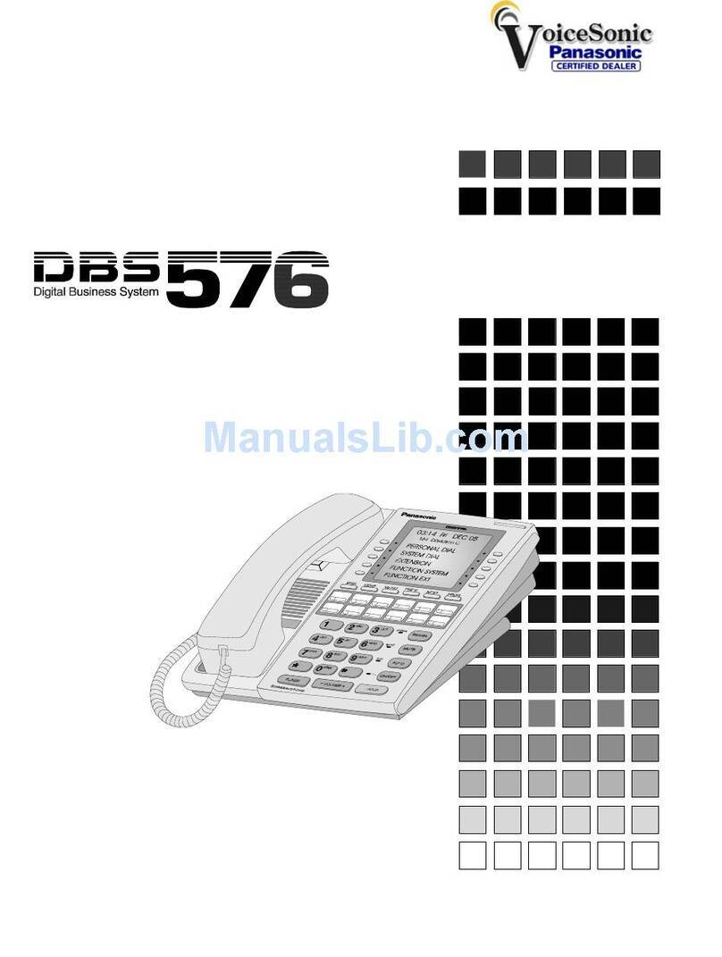 Panasonic DBS 576 Section 300 User manual