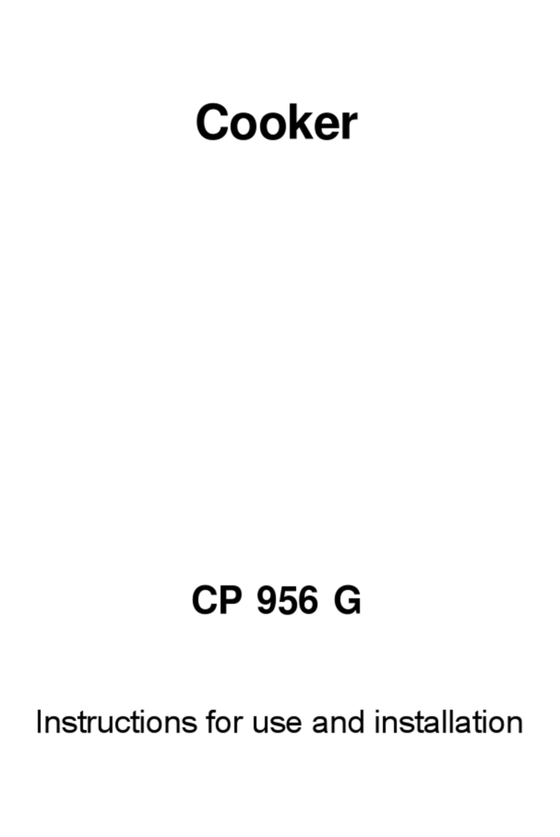 SCHOLTES CP 956 G Instructions for use and installation