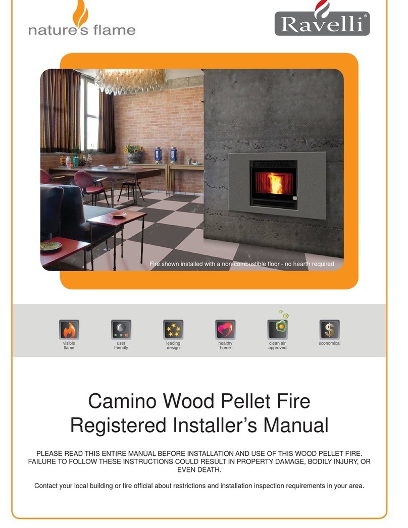 Natures Flame Camino manual