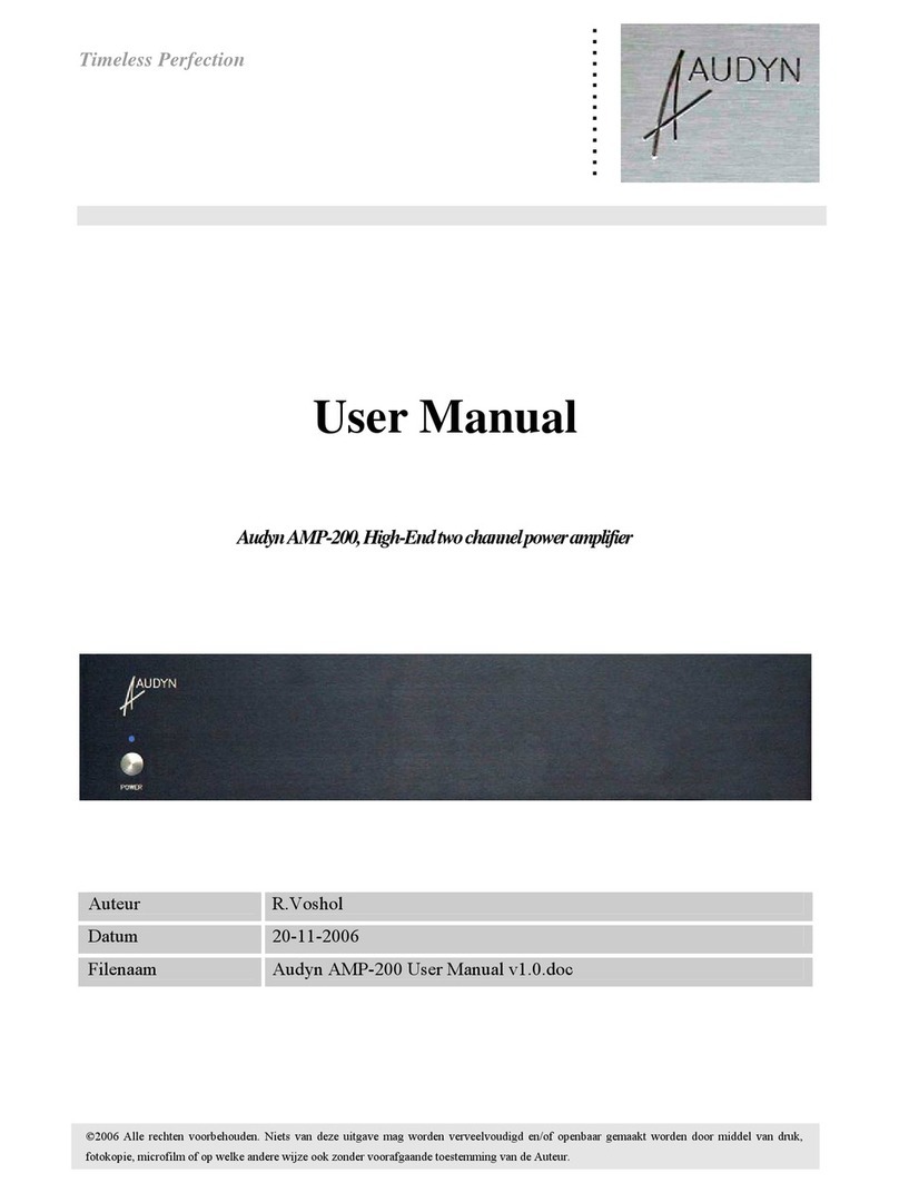 Audyn AMP-200 user manual