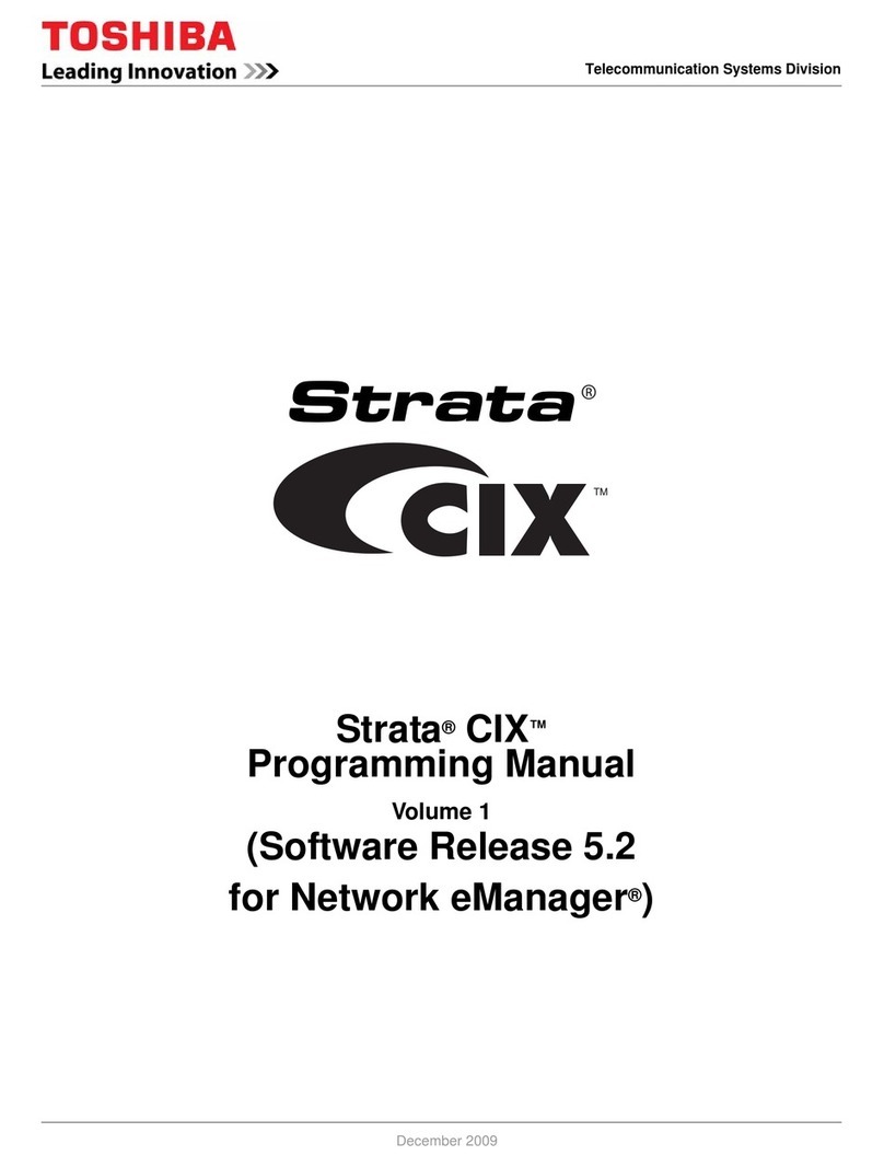 Strata CIX100 Programming manual