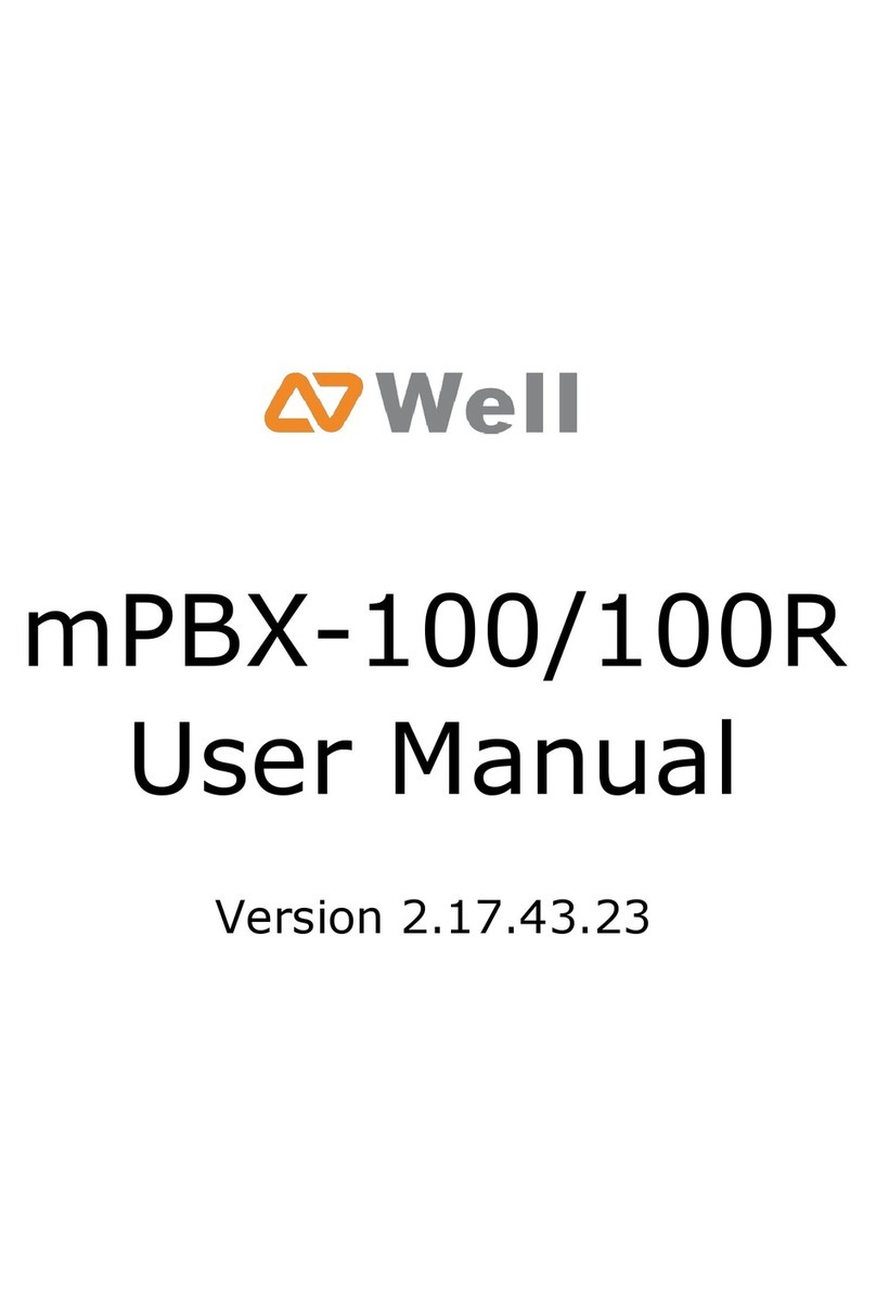 Well mPBX-100 user manual