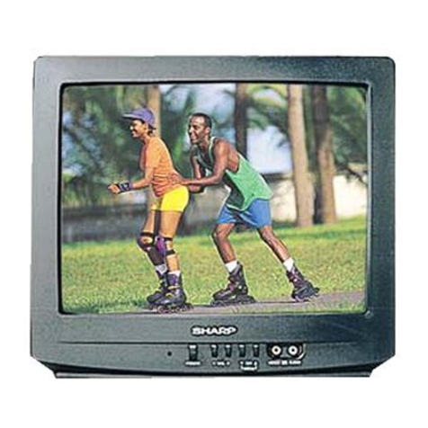 Sharp 13N-M100 User manual