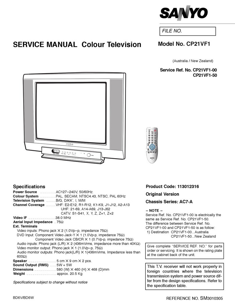 Sanyo CP21VF1 User manual