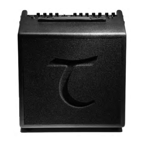 Tanglewood T6 owner's manual