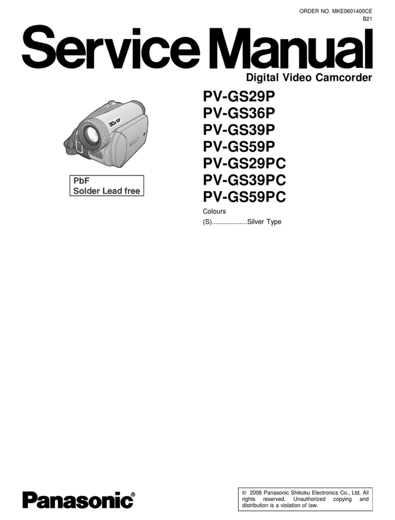 Panasonic PV-GS29P User manual