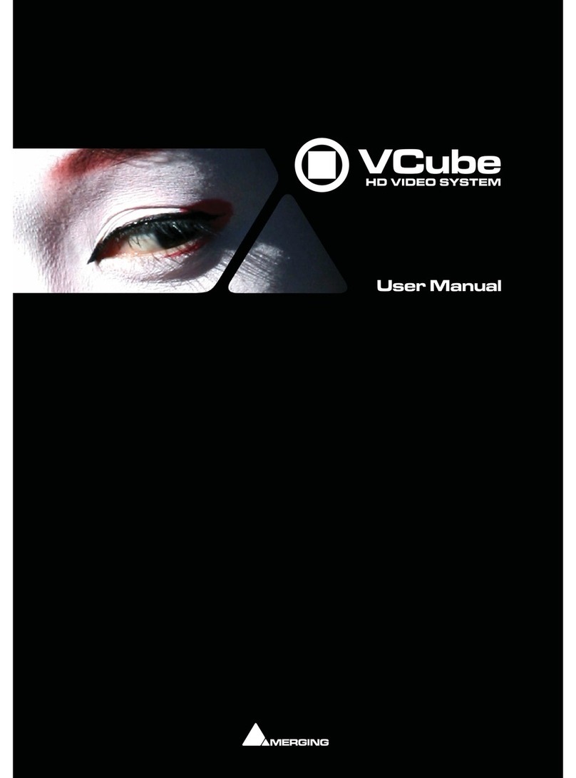 Merging VCube user manual