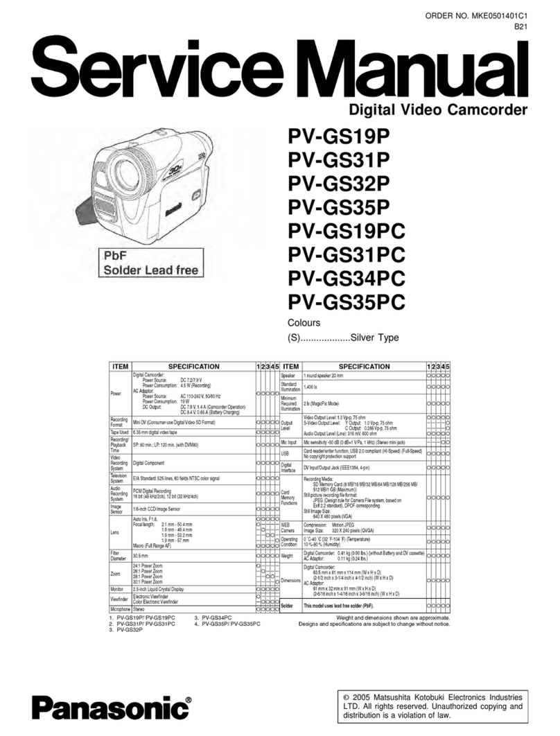 Panasonic PV-GS19P User manual