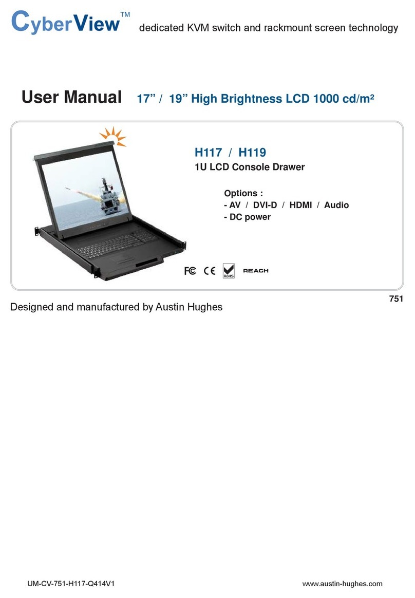 CyberView H117 user manual