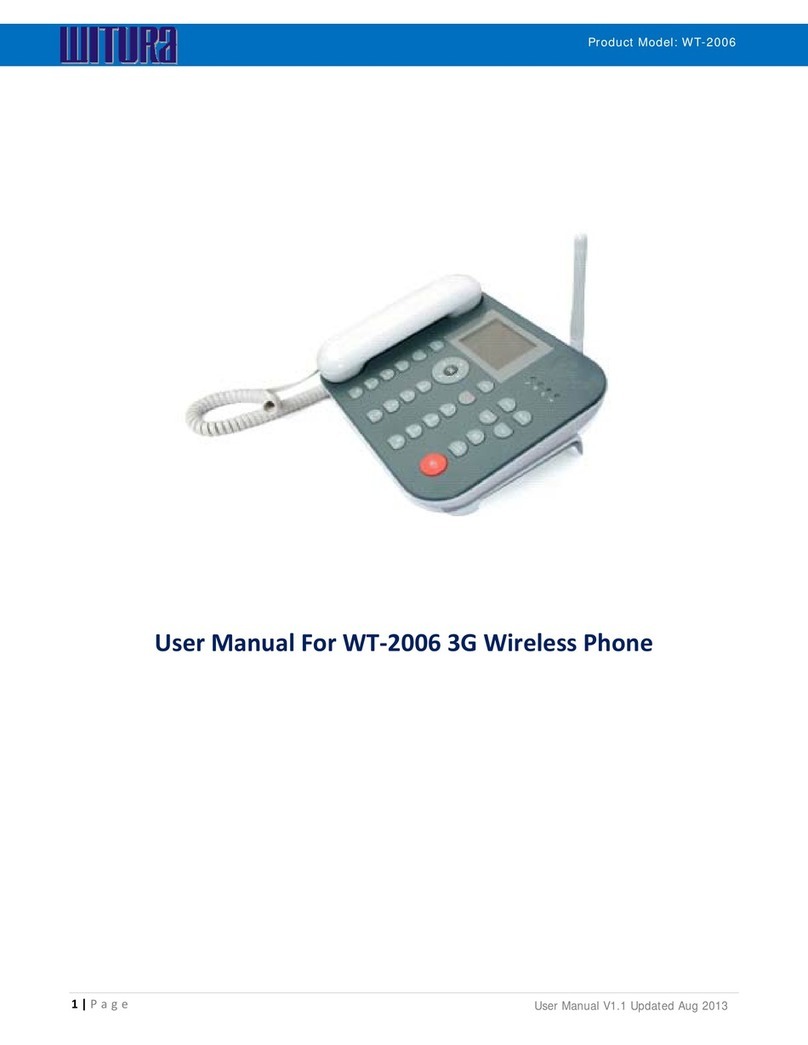 Witura WT-2006 user manual