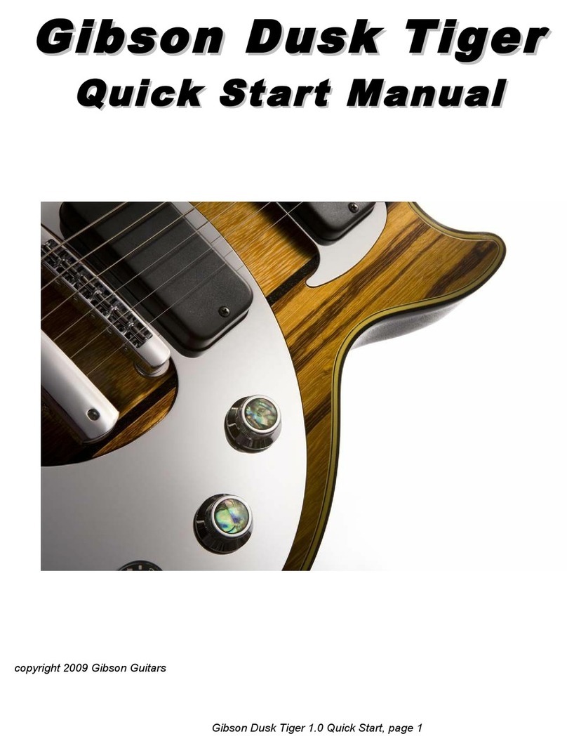 Gibson Dusk Tiger Instruction manual