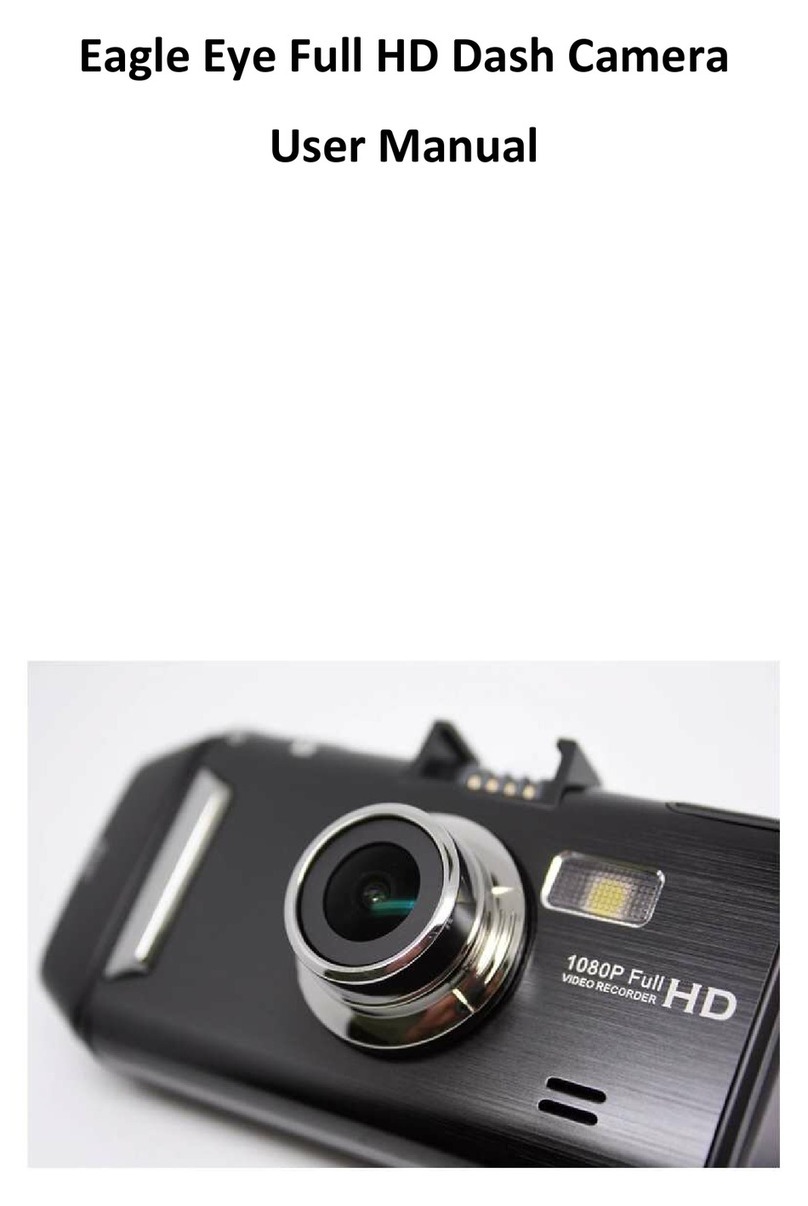 Eagleye CC-DVR-GSV2-FL user manual