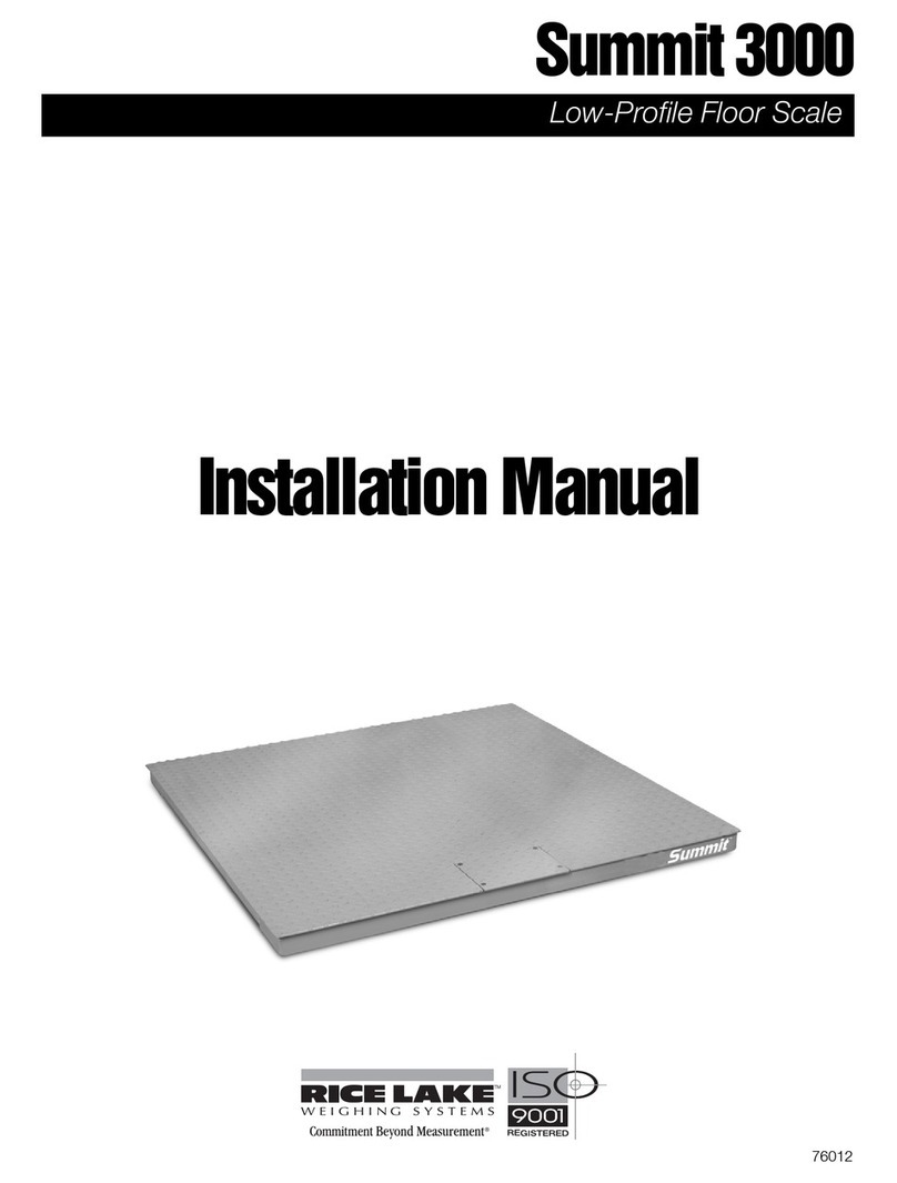 Rice Lake Summit 3000 installation instructions