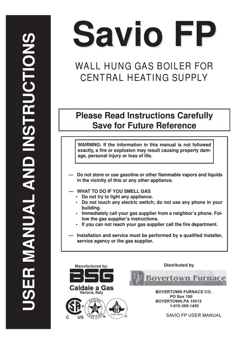 bsg Savio FP Manual