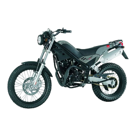 RIEJU TANGO 250 owner's manual