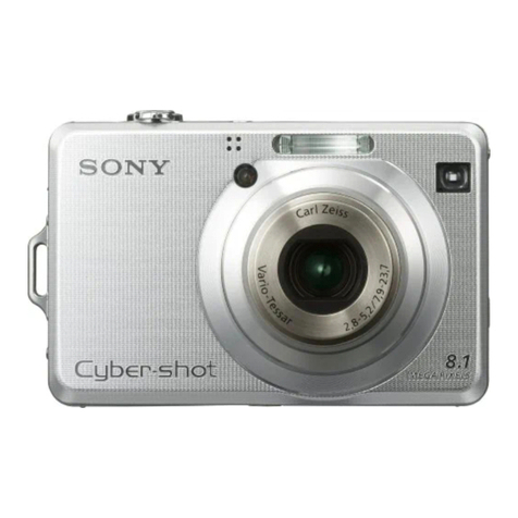 Sony Cyber-shot DSC-W100 user guide
