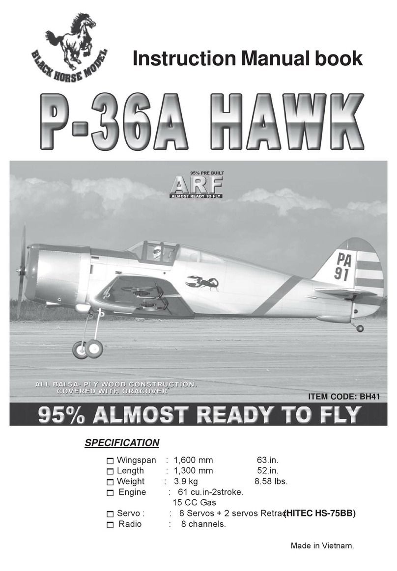 Black Horce Model P-36A Hawk Instruction manual book