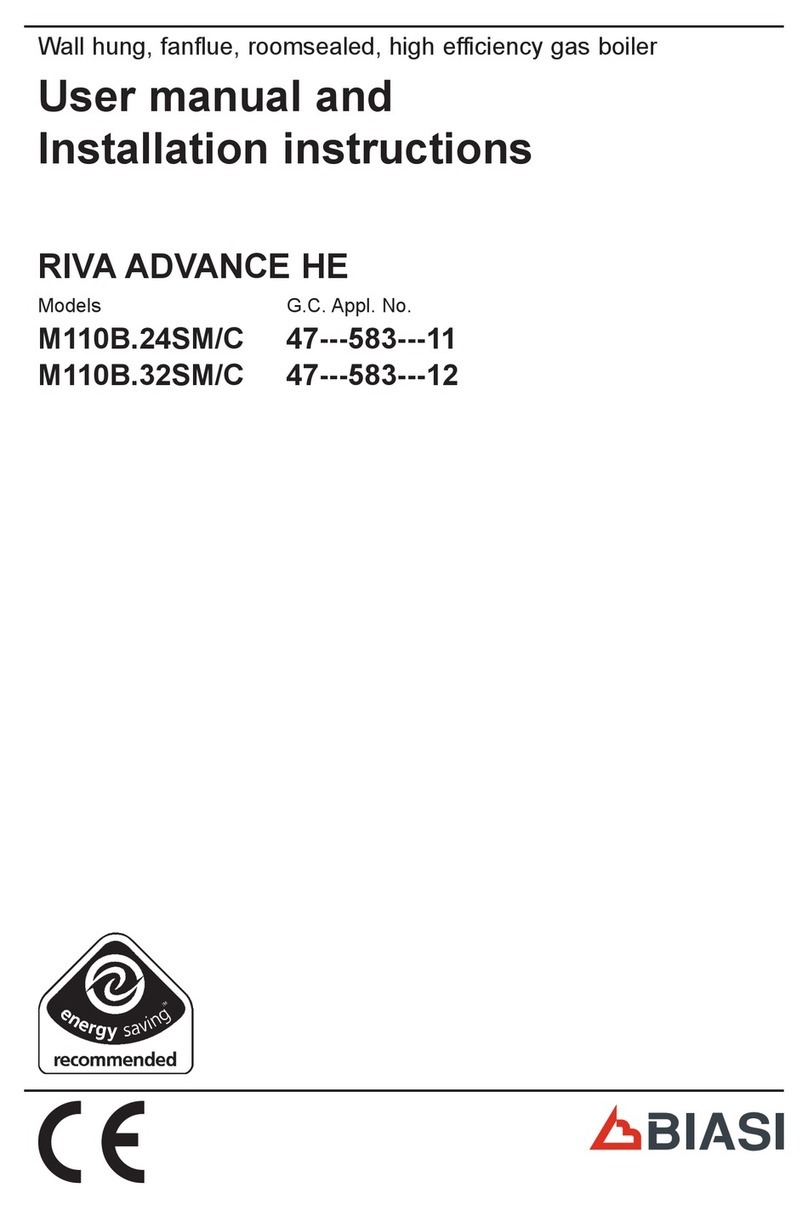 Biasi RIVA ADVANCE HE M110B.24SM/C User manual and installation instructions