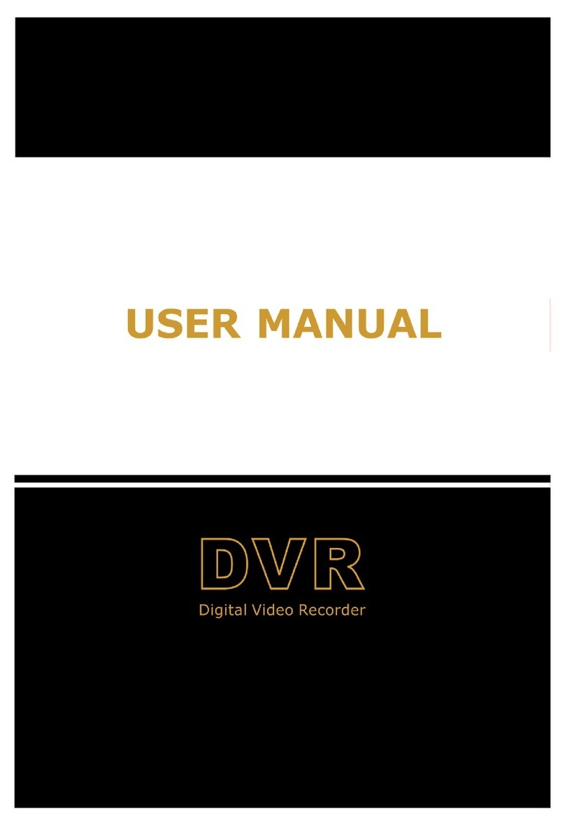 Raysharp D6004 user manual