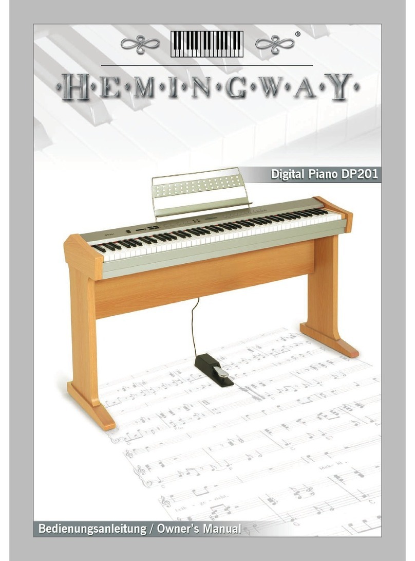 Hemingway DP201 owner's manual