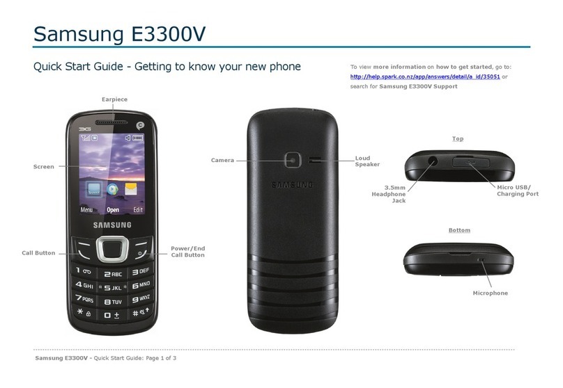 Samsung E3300V User manual
