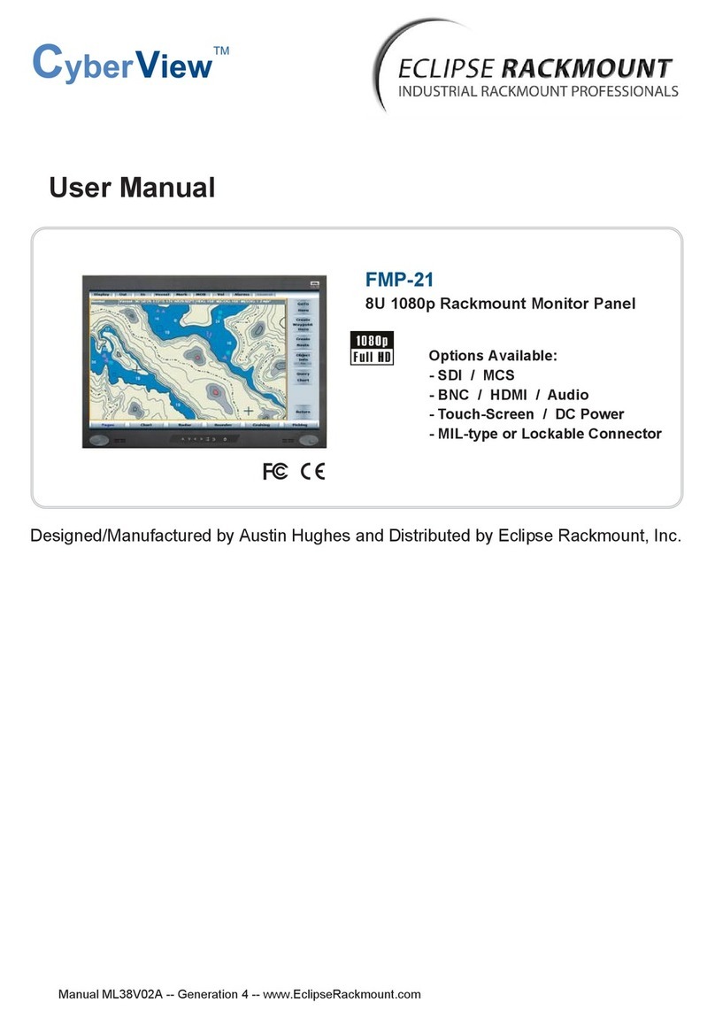 CyberView FMP-21 user manual