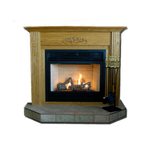 Legend DV36NG User manual