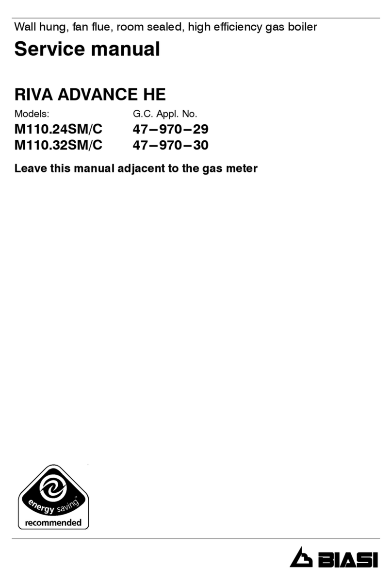 Biasi RIVA ADVANCE HE M110.24SM/C User manual Biasi RIVA ADVANCE HE M110.24SM/C User manual