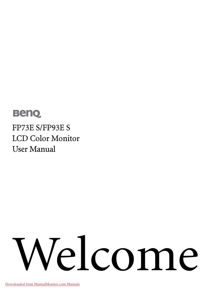 BenQ FP93E S User manual