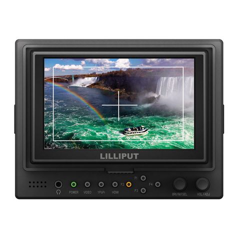 Lilliput 569-O/P User manual