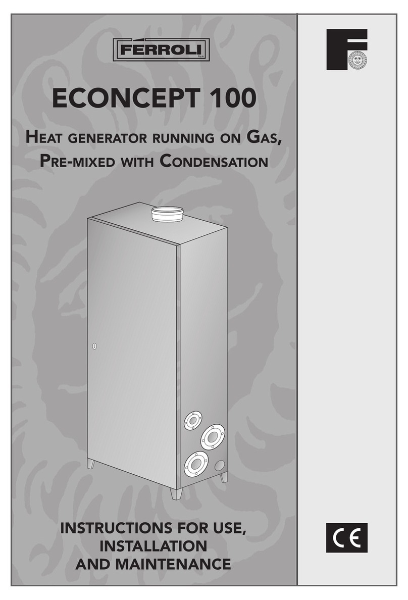 Ferroli ECONCEPT 100 Instructions for use, installation and maintenance