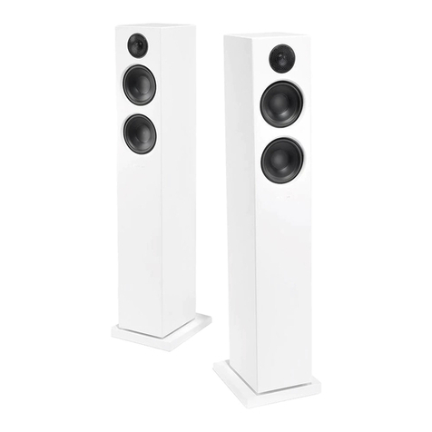 Audio Pro Addon T20 User manual