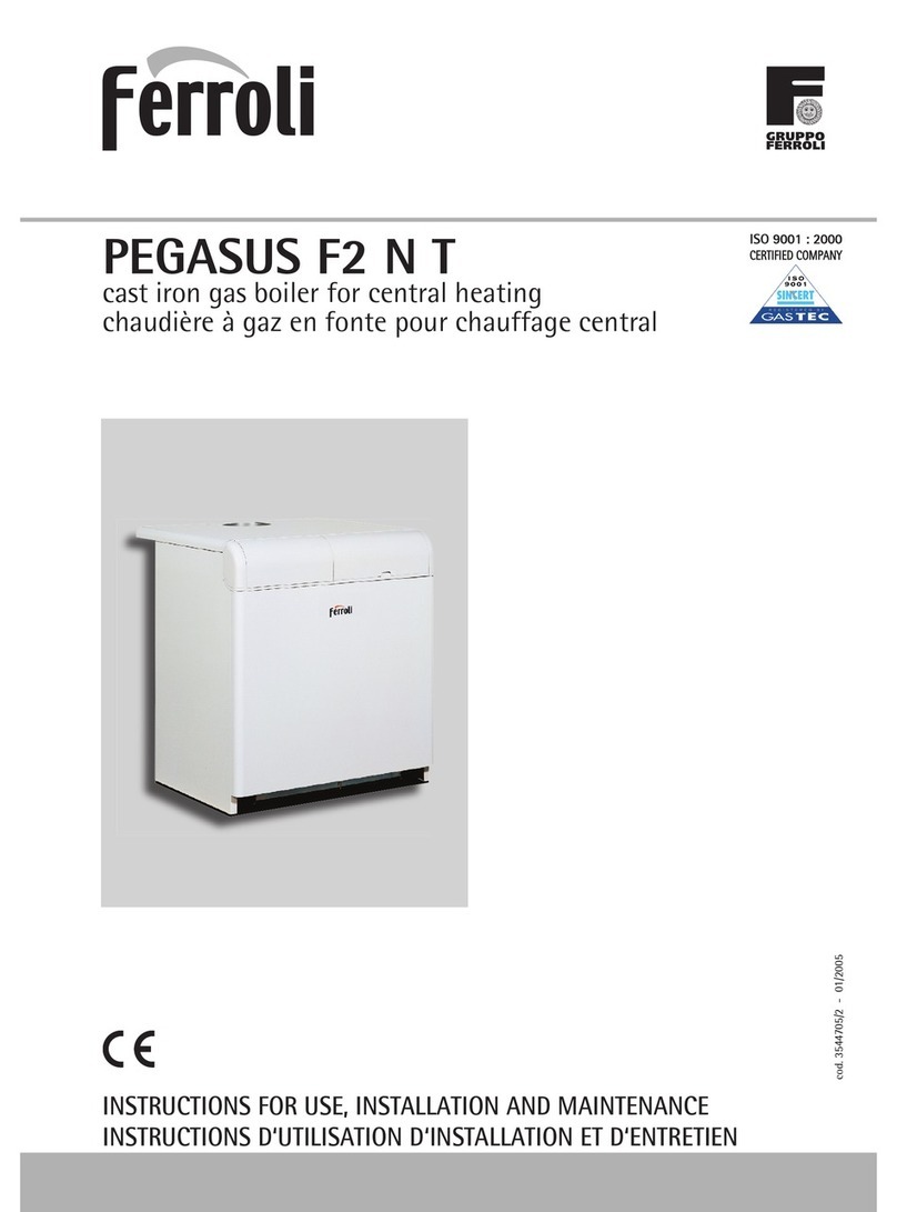 Ferroli PEGASUS F2 N 2S Instructions for use, installation and maintenance Ferroli PEGASUS F2 N 2S Instructions for use, installation and maintenance
