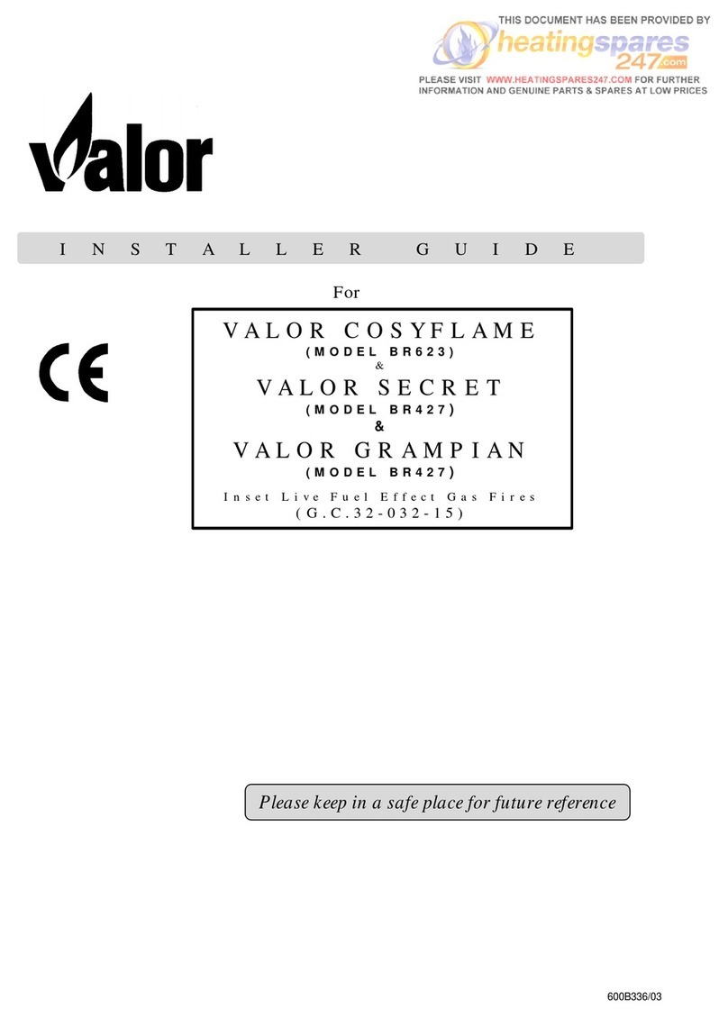 Valor COSYFLAME BR623 Assembly instructions