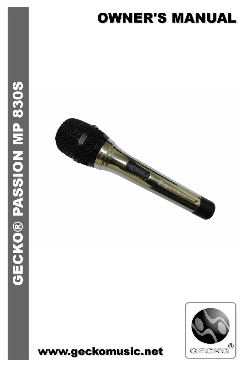 Gecko Passion MP 830S Safety instructions & symbols guide