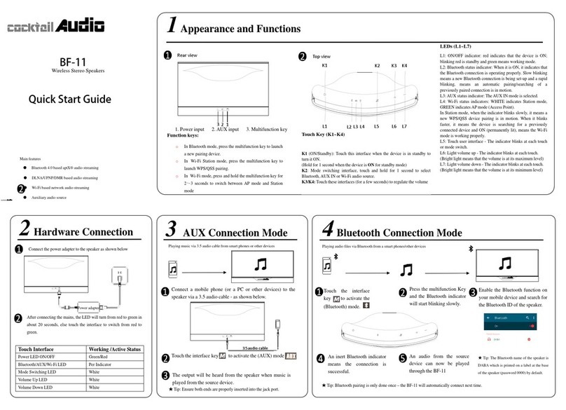 CocktailAudio BF-11 quick start guide