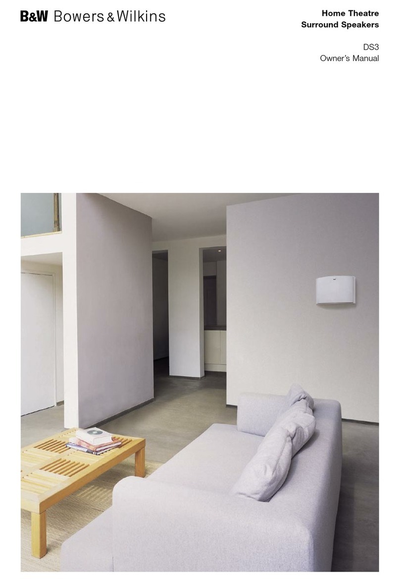 Bowers & Wilkins DS3 User manual