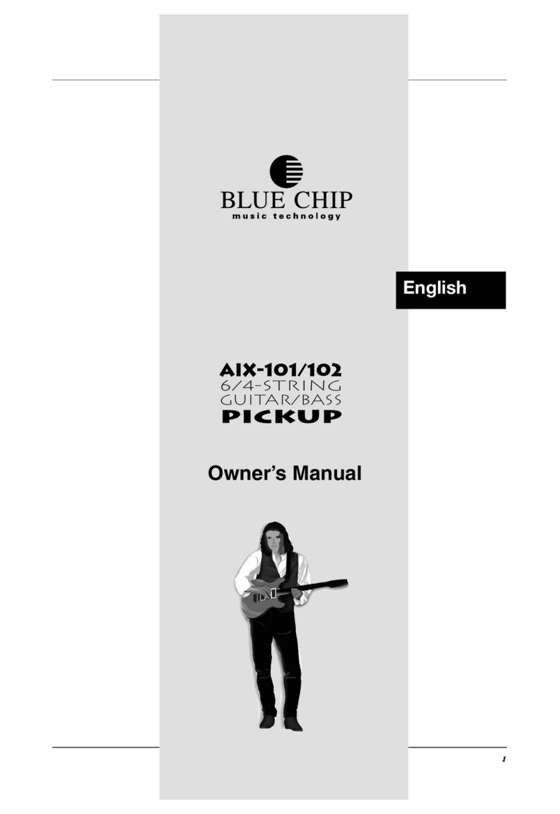 BlueChip AIX-101 owner's manual