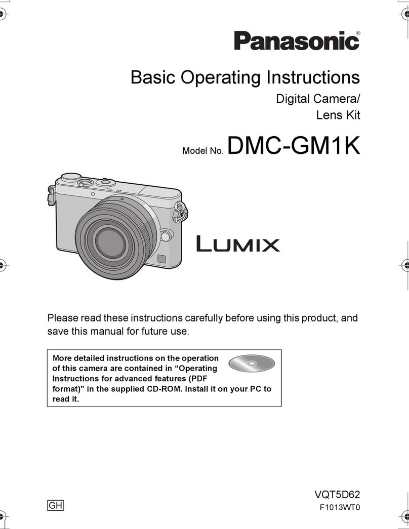 Panasonic LUMIX DMC-GM1K Technical specifications