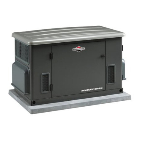 Briggs & Stratton 12000 User manual