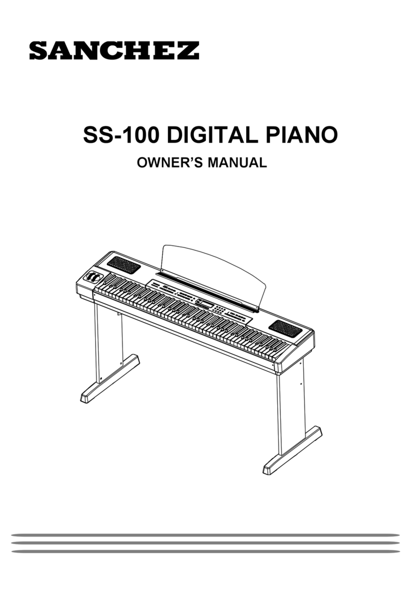 Sanchez SS-100 owner's manual