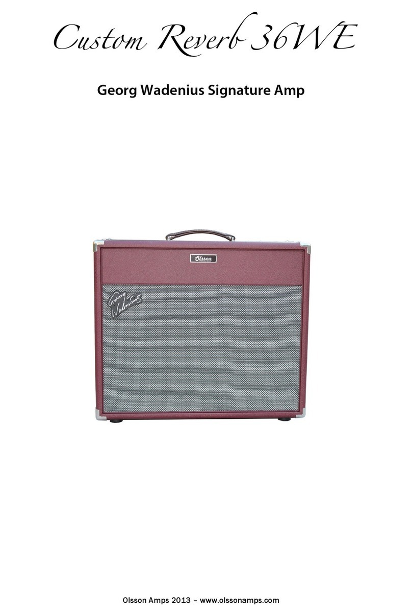 Olsson Custom Reverb 36WE Georg Wadenius Signature user guide