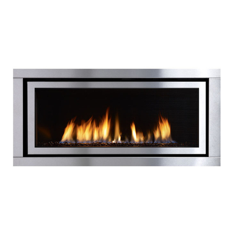 Regency Fireplace Products Regency Horizon HZ40E-NG2 Owners & installation manual