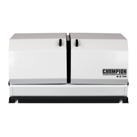 Champion 100199 User manual