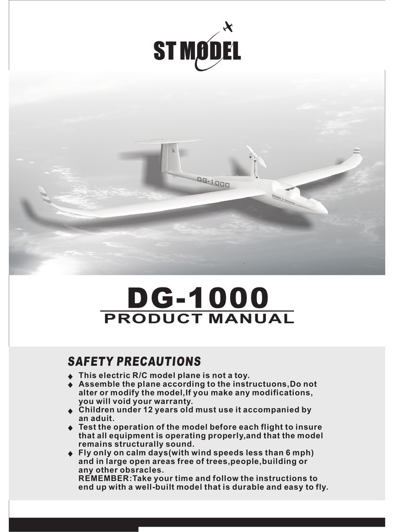 st model DG-1000 User manual