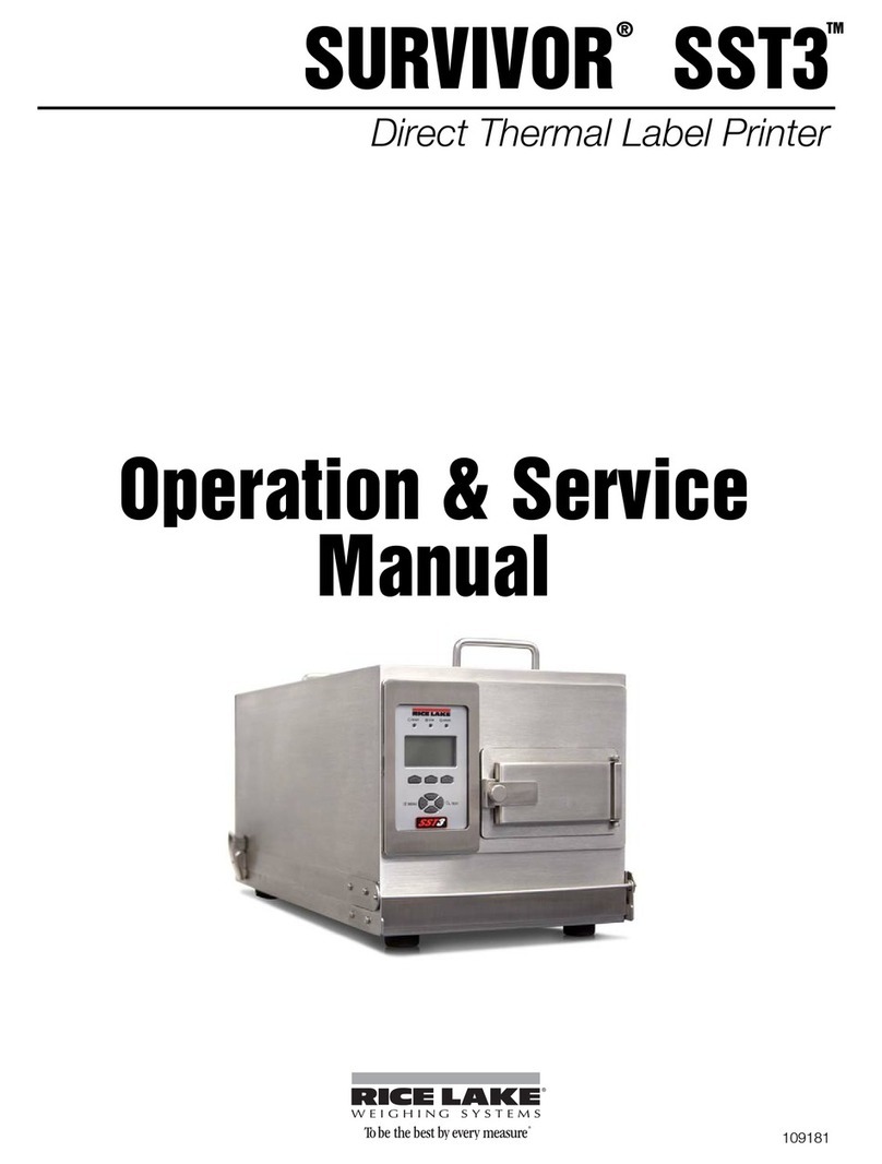 Rice Lake SURVIVOR SST3 Operation & service manual